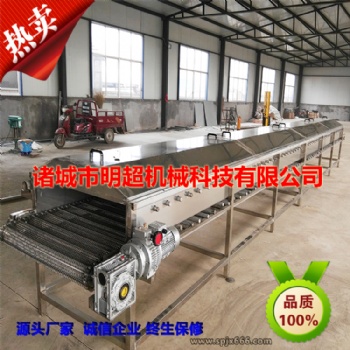 商用果蔬清洗機(jī) 大型全自動氣泡清洗機(jī) 高壓噴淋果蔬清洗機(jī)