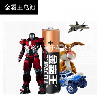 金霸王5號(hào)電池 五號(hào)堿性電池 AA電池
