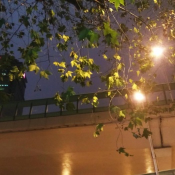 上海虹口區(qū)做賬報(bào)稅公司做賬稅務(wù)申報(bào)