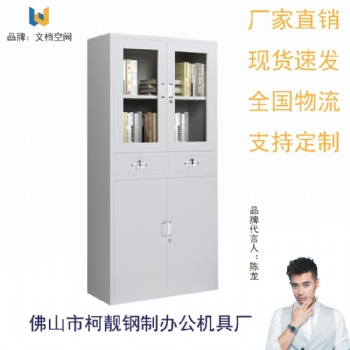 佛山廠家供應(yīng)中二斗大器械柜偏三斗文件柜雙門儲(chǔ)物柜資料儲(chǔ)存柜