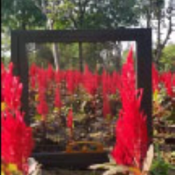 新產(chǎn)品【小金剛高透網(wǎng)窗紗網(wǎng)】適用于各種材質(zhì)窗紗網(wǎng) 安裝方便