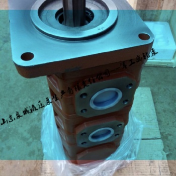 佳木斯掘進機CBGJ2040/2032/2025濟南三聯(lián)泵