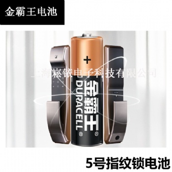 金霸王5號(hào)電池 5號(hào)堿性電池 指紋鎖門鎖電池