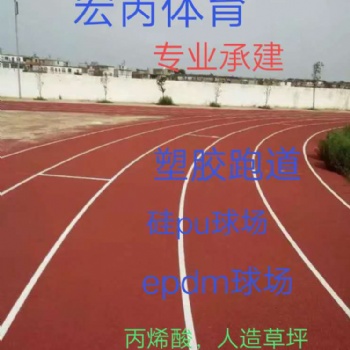 塑膠跑道，硅PU球場，EPDM塑膠，丙烯酸球場，專業(yè)承建
