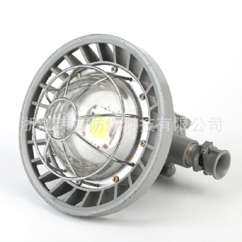 源DGS24/127L礦用LED巷道燈，隔爆型巷道燈價(jià)格