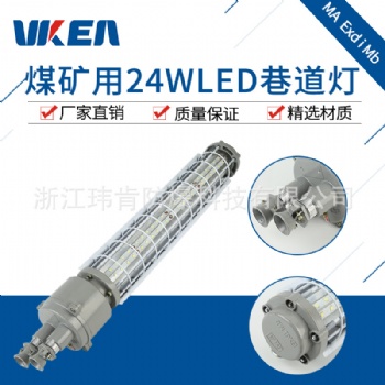煤礦DGS24W長條形礦用LED巷道燈 廠家價(jià)格報(bào)價(jià)