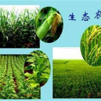安陽農(nóng)林設(shè)計資質(zhì)申請標(biāo)準(zhǔn)生態(tài)開發(fā)工程乙級