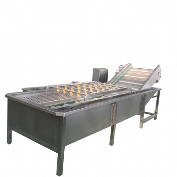水果蔬菜殺菌消毒機(jī) 帶魚(yú)去鱗清洗機(jī) 海帶絲清洗機(jī)