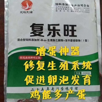 影響蛋雞產值的罪魁禍*滑膜炎的癥狀及應對措施