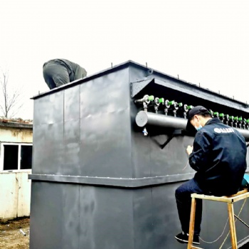 環(huán)振科技中小型生物質(zhì)鍋爐布袋除塵器加工定做