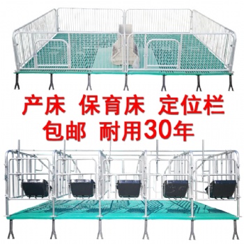 定位欄復(fù)合板限位欄豬養(yǎng)殖場保育床養(yǎng)殖設(shè)備母豬欄位產(chǎn)床包郵豬床