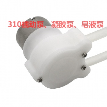 廠家供應(yīng)310蠕動(dòng)泵洗手液泵給皂液齒輪泵洗手機(jī)皂液泵凝膠泵