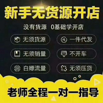 拼多多無(wú)貨源店群軟件代理加盟，運(yùn)營(yíng)技術(shù)免費(fèi)教學(xué)
