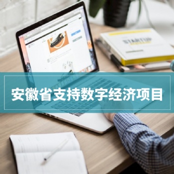 2020年安徽省支持?jǐn)?shù)字經(jīng)濟(jì)15類項(xiàng)目申報(bào)條件條件解讀