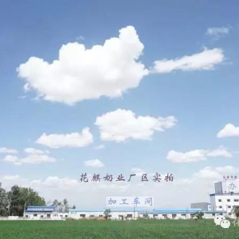 新疆奶業廠家可OEM駱駝奶粉代加工驢奶粉代加工馬奶粉代加工羊奶粉代加工