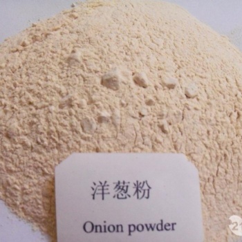 洋蔥粉 調(diào)味品香辛料 大西北洋蔥 實力廠家 琦軒食品 廣東東莞