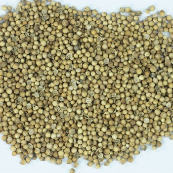 芫荽粉 香菜籽粉 實力廠家 調(diào)味品香辛料 廠家 琦軒食品 廣東東莞