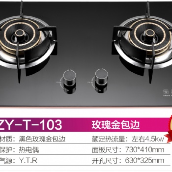 家用燃?xì)庠罹摺N衛(wèi)電器，