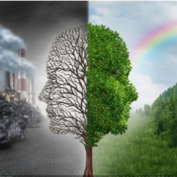 ISO14001認(rèn)證咨詢費(fèi)用-環(huán)境標(biāo)準(zhǔn)的七個(gè)實(shí)質(zhì)性變化