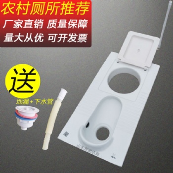 干濕分離蹲便器農(nóng)村廁所改造免水沖糞尿分集分離蹲坑