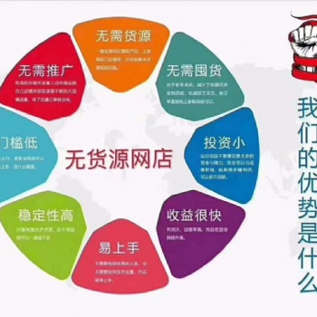 拼多多無(wú)貨源開店，店鋪運(yùn)營(yíng)，店群指導(dǎo)