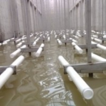 高效充氧管式曝氣器、一體化鼓風式曝氣器設備、烏克蘭進口微孔曝氣管、進口高分子管式曝氣器