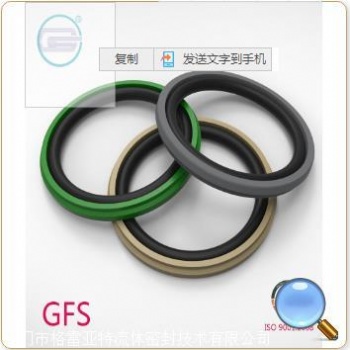 PTFE密封件，耐磨，耐高溫