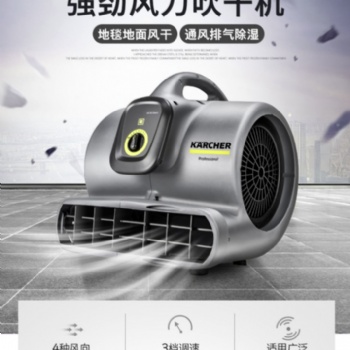 強(qiáng)勁風(fēng)力吹干機(jī)德國(guó)卡赫karcherAB30酒店**衛(wèi)生間吹干機(jī)有現(xiàn)貨