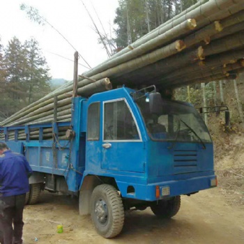 毛竹運輸車 翻斗自卸車 改裝訂制四不像四驅(qū)車