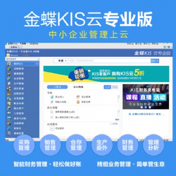 金蝶KIS云專業(yè)版V16.0總賬+報表財務(wù)ERP軟件