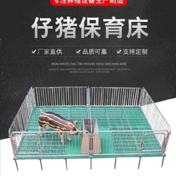 豬場用保育床 仔豬保育床 復合板保育床 復合保育床 規(guī)格多樣