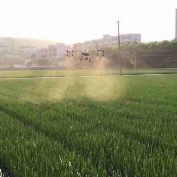 廣東廣西無人機馬蹄花生玉米茶樹打藥服務(wù)
