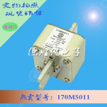 巴斯曼熔斷器 170M5011 供應(yīng)全新現(xiàn)貨