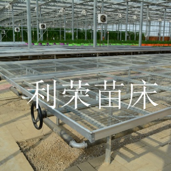 廠家批發(fā)溫室苗床、移動苗床、苗床網(wǎng)