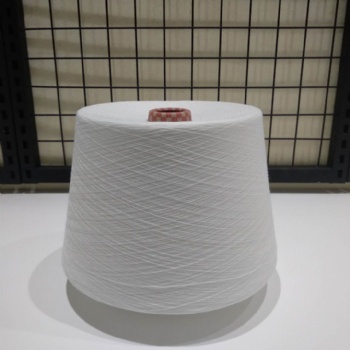 環(huán)錠紡純滌大化滌綸紗21S