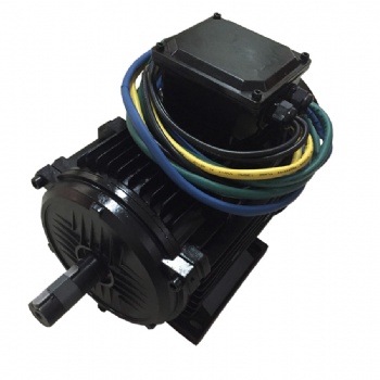 直流無刷永磁電機(jī)48v 8kw 1500轉(zhuǎn)廠家定制