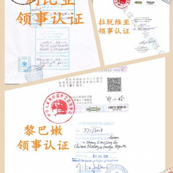 馬耳他章程領(lǐng)事蓋章好不好辦理@馬耳他使館蓋章章程 能為您節(jié)省更多時(shí)間;