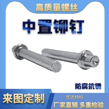 廠家批發(fā)鐵鍍鋅 實心中置鉚釘 實心鉚釘 M3*25 可來樣定制