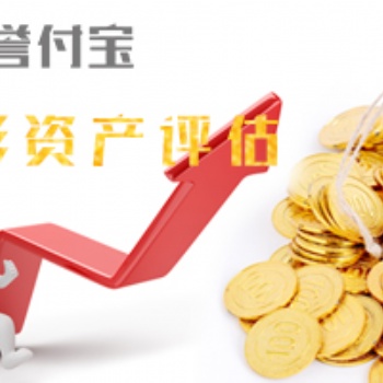 專業(yè)提供無形資產(chǎn)評估,官方認可資產(chǎn)評估公司大品牌!