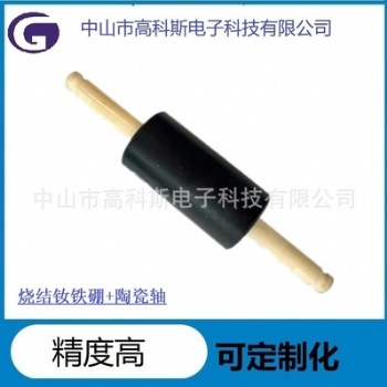 高科斯燒結(jié)釹鐵硼魚(yú)缸增壓泵電機(jī)磁轉(zhuǎn)子