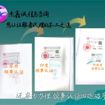 資產(chǎn)負(fù)債表+德國(guó)備案需要使館認(rèn)證