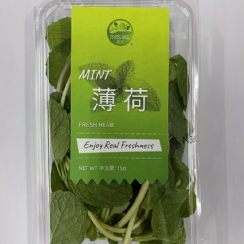 薄荷葉嫩頭新鮮可食用泡水調(diào)酒香料西餐擺盤(pán)裝飾批發(fā)銷售餐飲門店西餐廳酒店供應(yīng)超市直供全國(guó)物流冷鏈保鮮