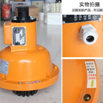 施工升降機(jī)配件 施工電梯防墜器30 SAJ40-1.2興翔安全器 啟東三聯(lián)
