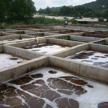 東莞養殖行業污水凈化設施 動物排泄污水治理設備