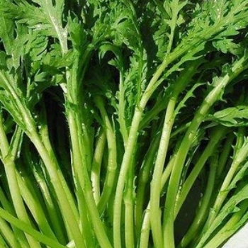 西安蔬菜配送|食材配送公司|干調(diào)糧油|**配送