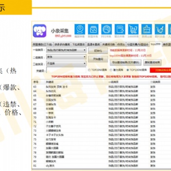 2021拼多多店群采集上貨過濾軟件貼牌,一對一服務指導招商