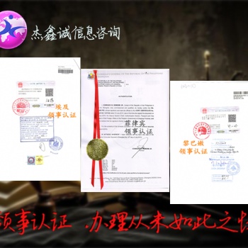 瑞士領(lǐng)事館蓋章派遣信*瑞士派遣信大使館蓋章*瑞士領(lǐng)事館蓋章