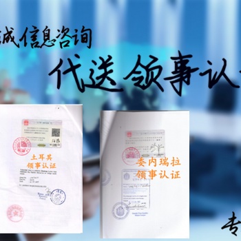 格魯吉亞使館董事會議*財(cái)務(wù)審計(jì)注冊證書認(rèn)證