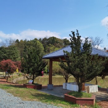 長沙附近農家樂休閑出游、民宿、野炊、挖冬筍、劃船賞花