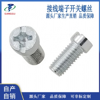 源頭廠家生產(chǎn) M5機牙螺釘 十一字圓柱頭接觸器端子開關插座螺絲